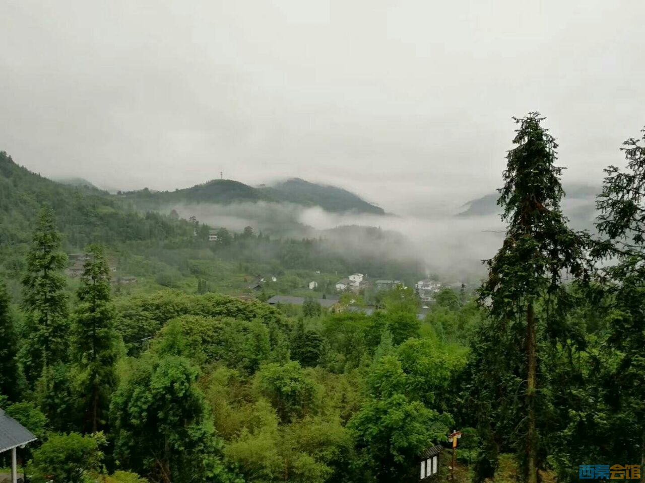 20190619_600038_1560903666383.jpg