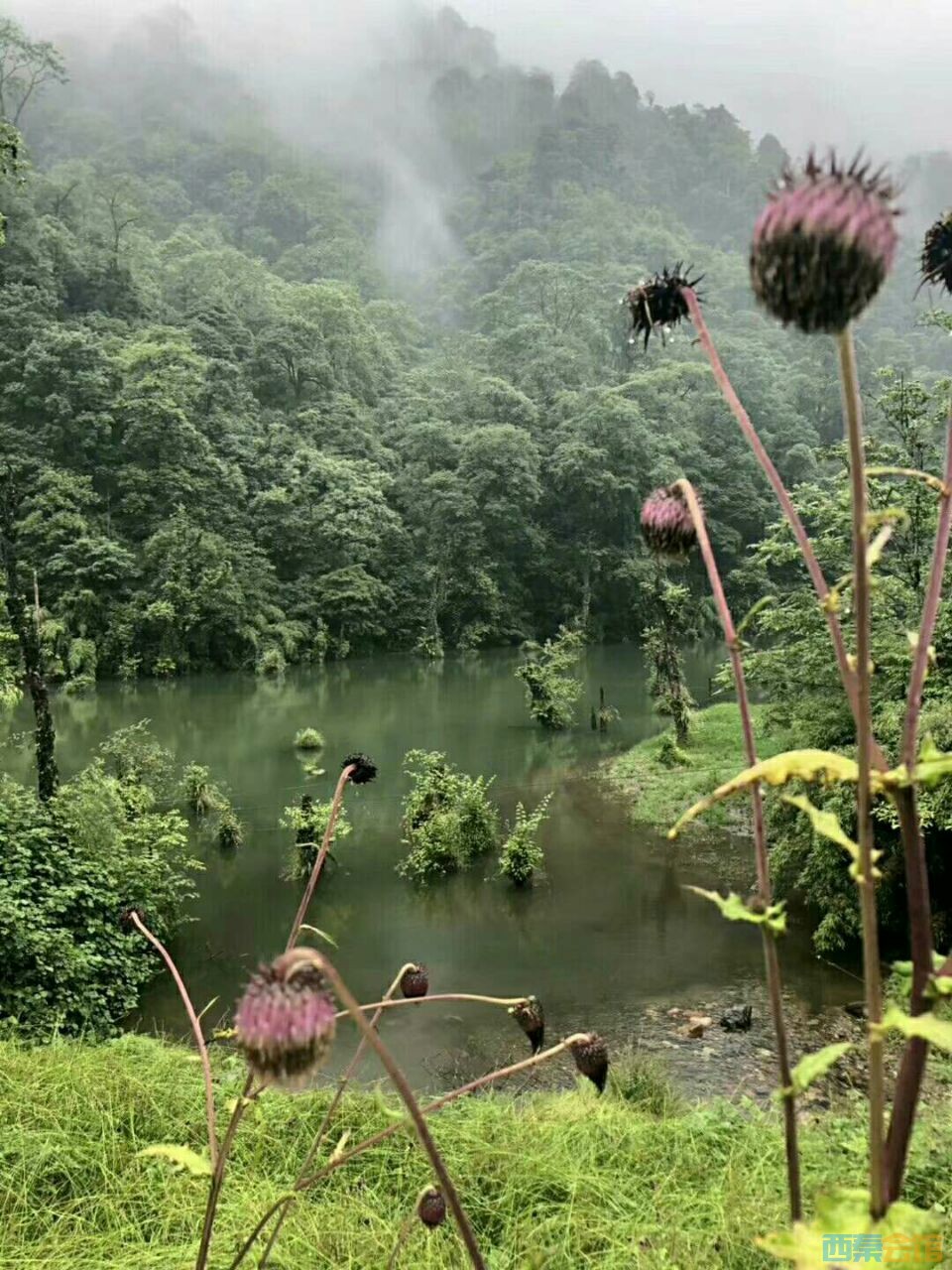 20190619_600038_1560903666127.jpg