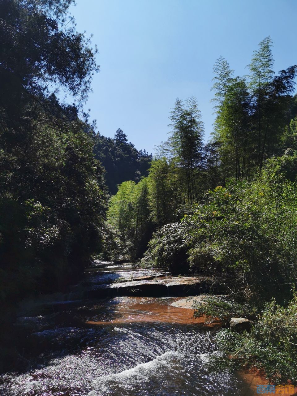 20190730_1480549_1564455004988.jpg
