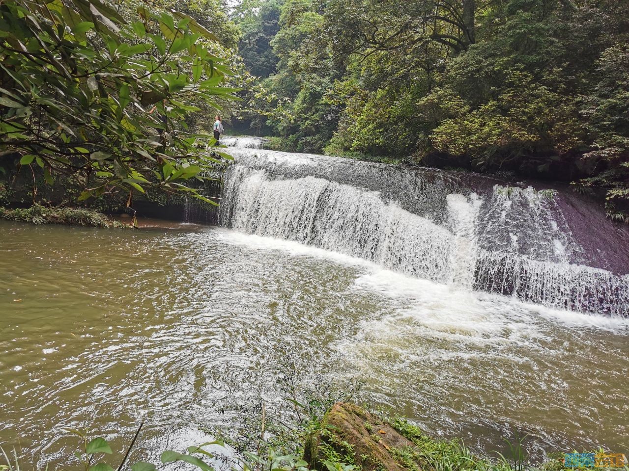 20190730_1480549_1564455183867.jpg