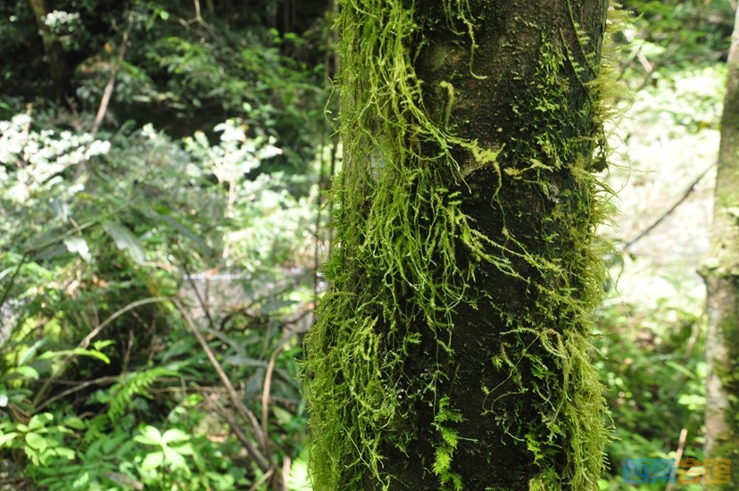 DSC_0188.JPG