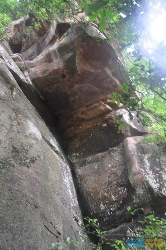 DSC_0230.JPG