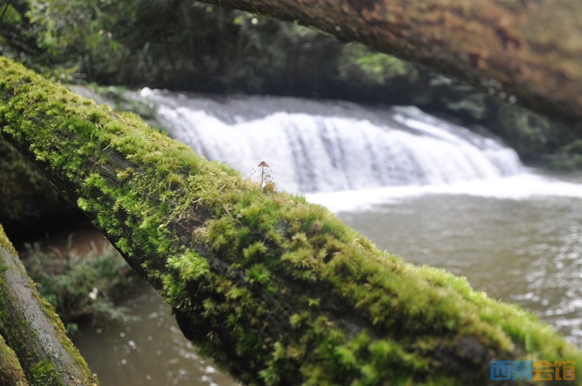DSC_0267.JPG
