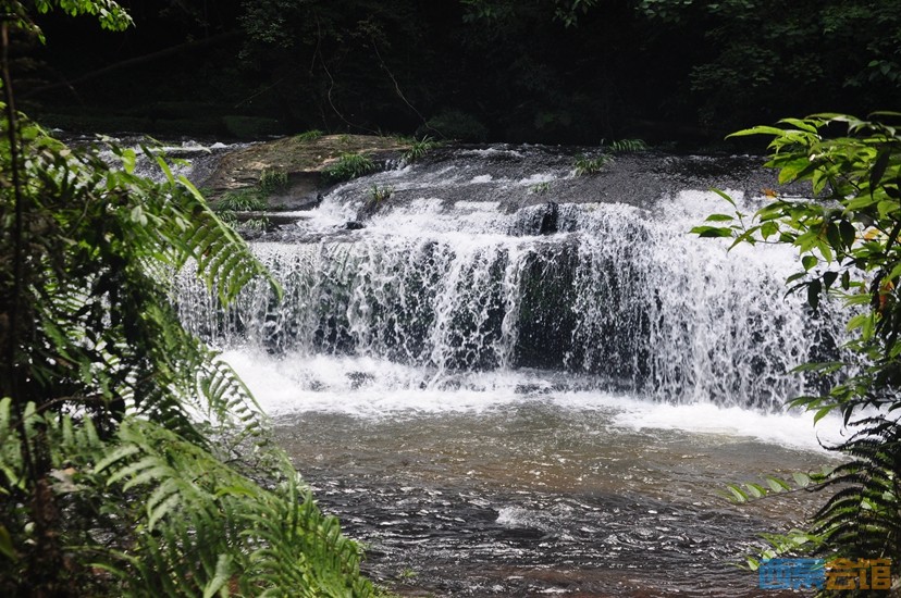 DSC_0277.JPG