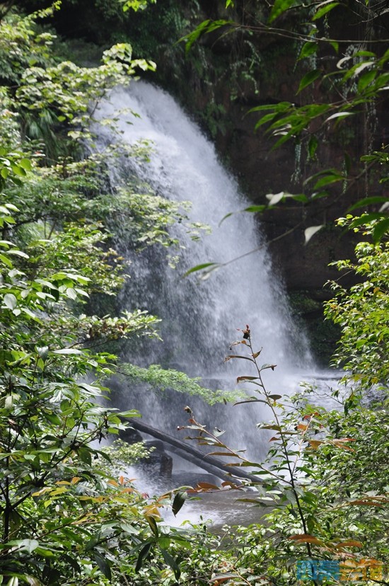 DSC_0291.JPG
