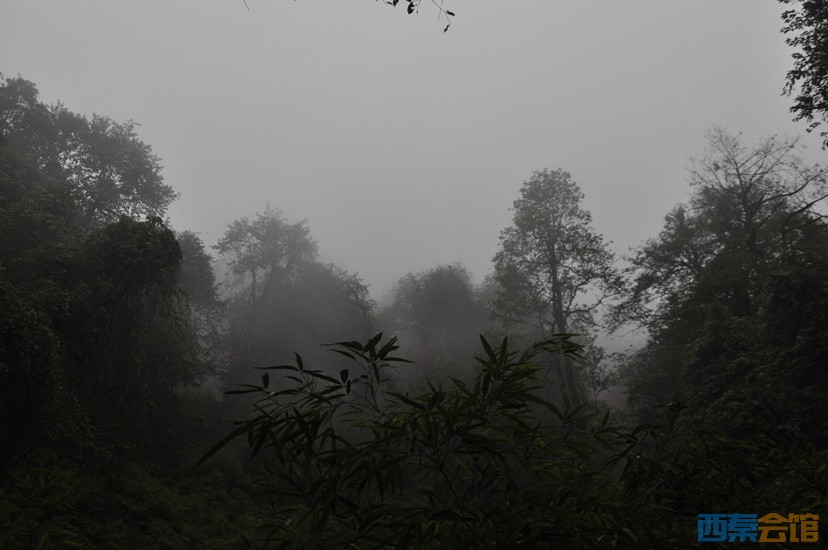 DSC_0115.JPG