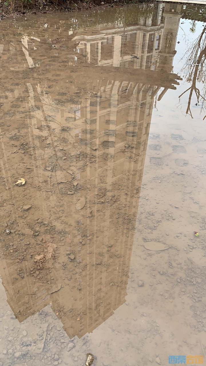 2019111416551281573702854311295.jpg