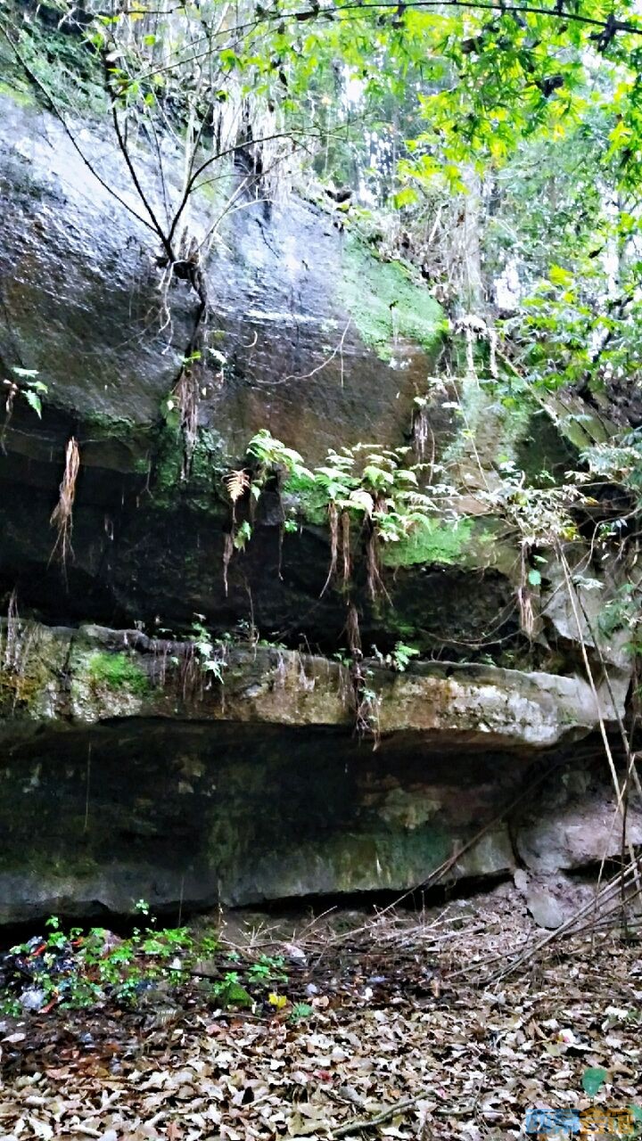 20200105_1702813_1578233945985.jpg