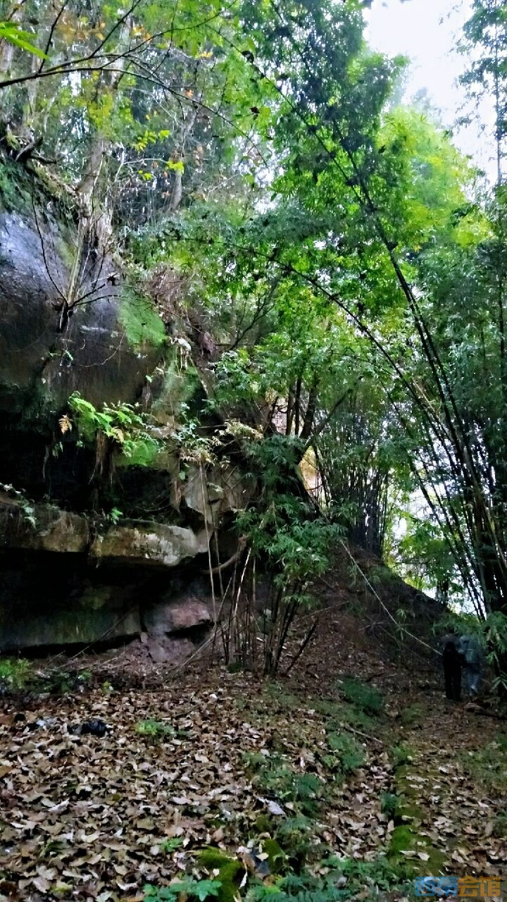 20200105_1702813_1578233945654.jpg