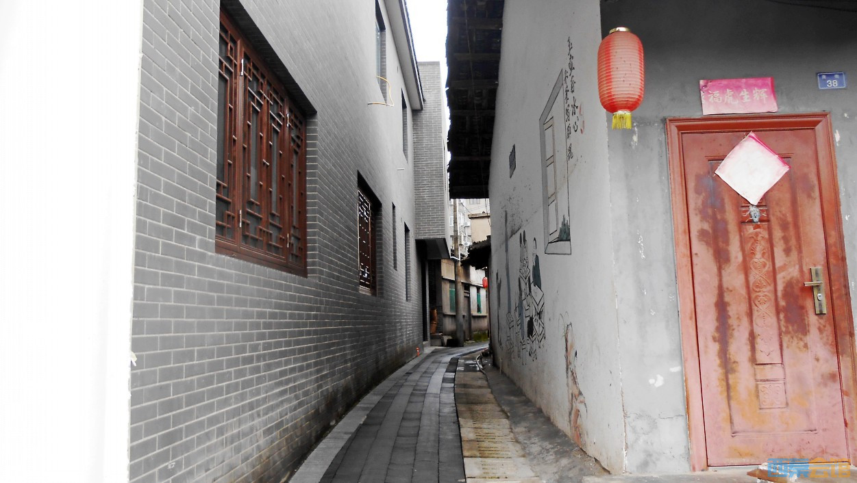 conew_dscn3612.jpg