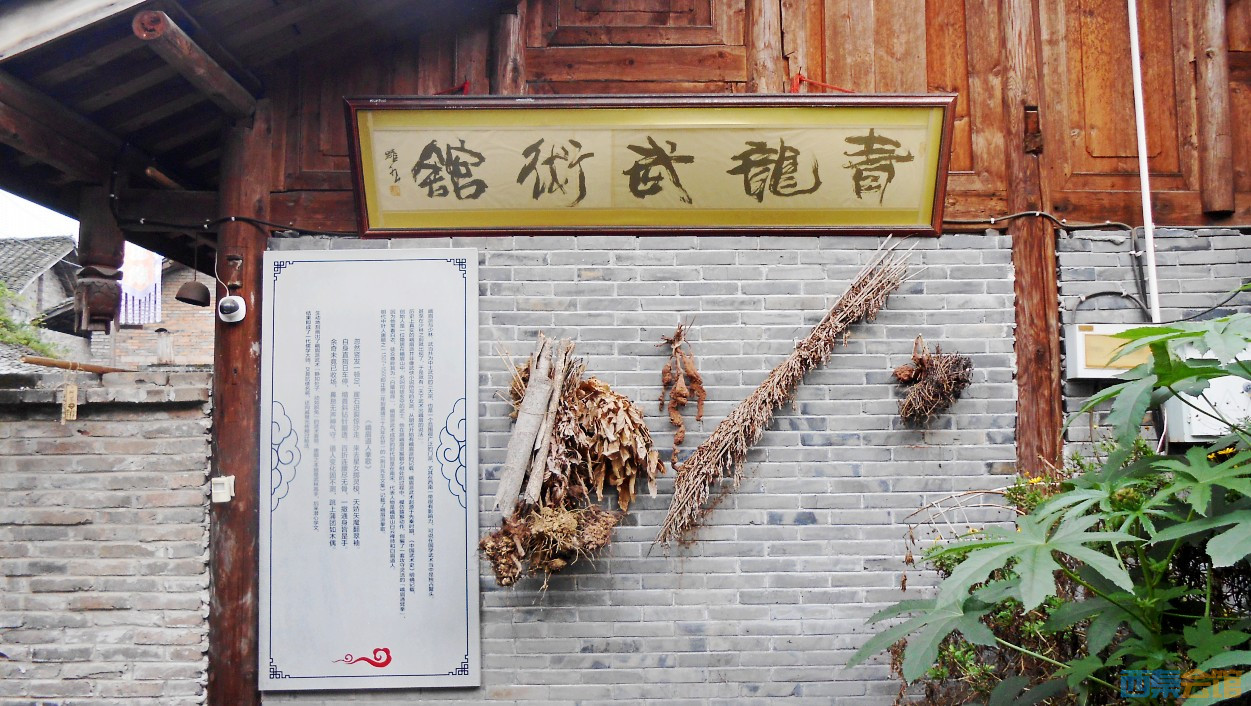 conew_dscn3668.jpg