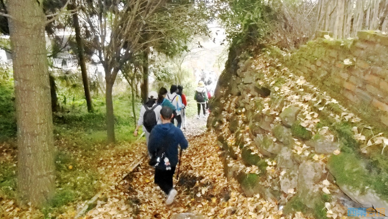 conew_dscn3854.jpg