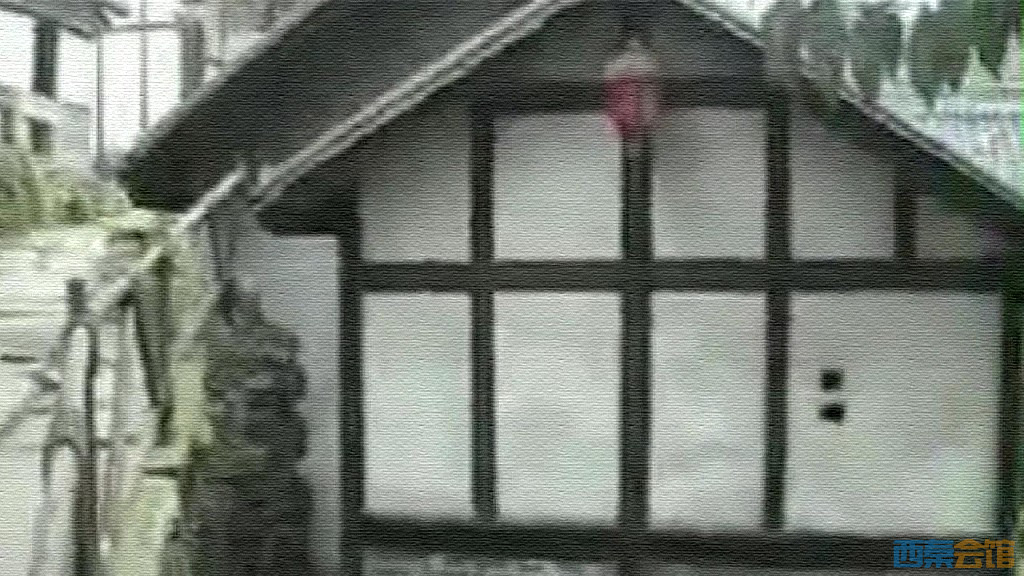 conew_snapshot(26)_conew1.jpg