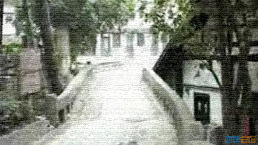 conew_snapshot(17)_conew1.jpg