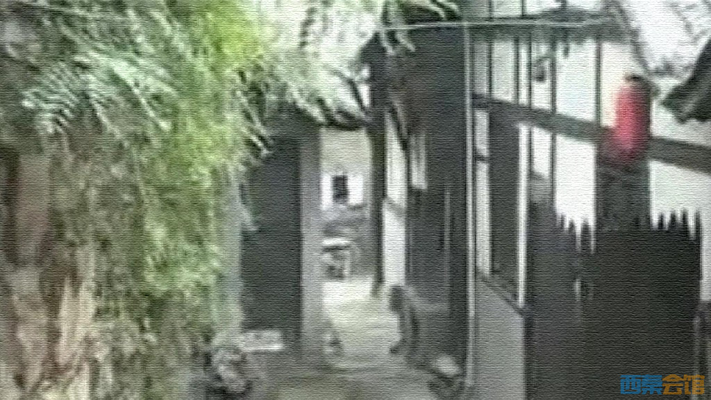 conew_snapshot(22)_conew1.jpg