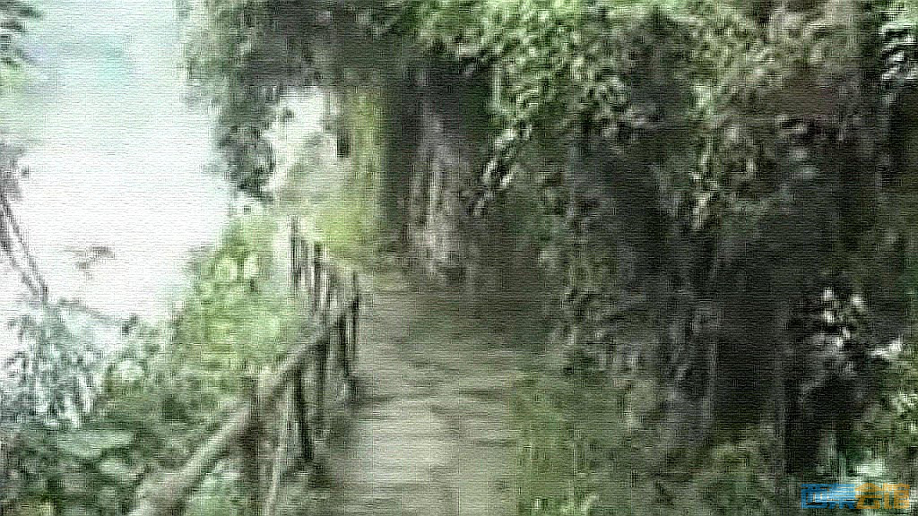 conew_snapshot(27)_conew1.jpg