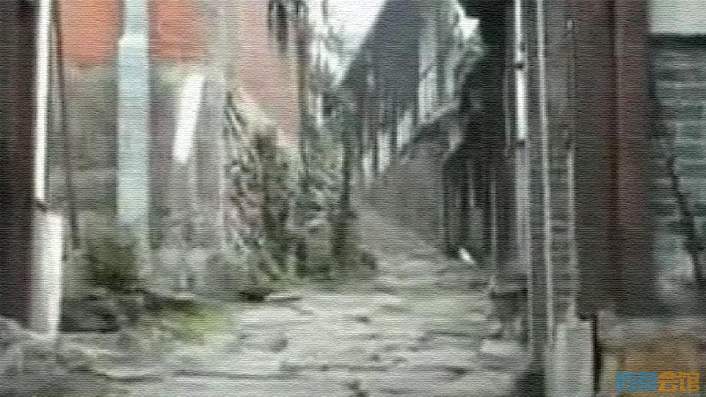 conew_snapshot(20)_conew1.jpg