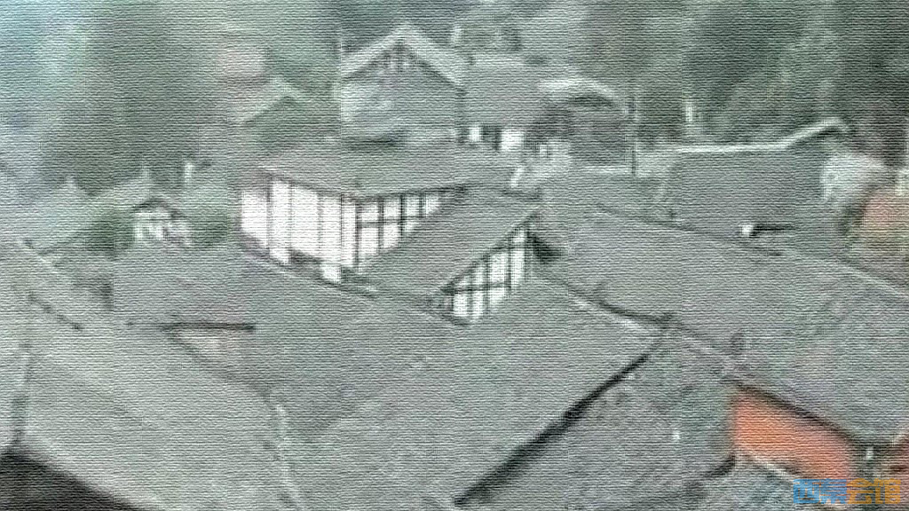 conew_snapshot(9)_conew1.jpg