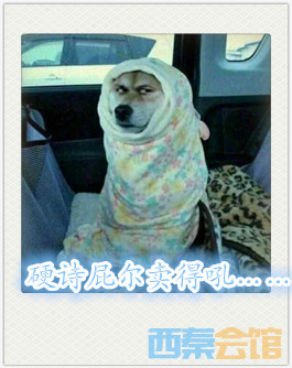 QQͼƬ20200305223100.jpg