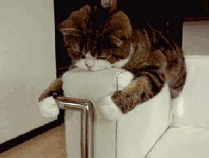 20230106225859front2_0_332895_FsRM0KzutFCFi_d6rVImKzp3Nrui.gif