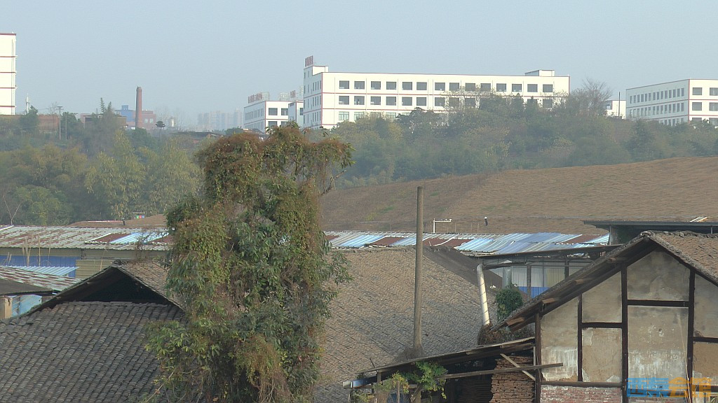 conew_s1570147.jpg