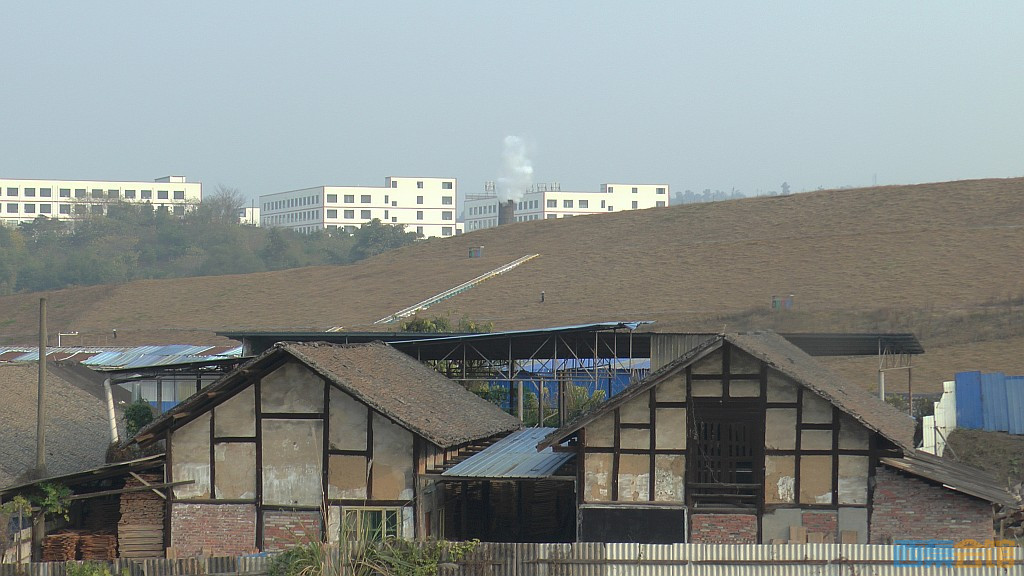 conew_s1570146.jpg