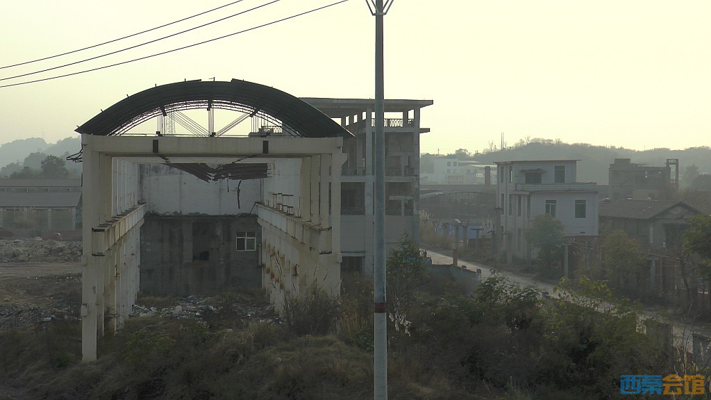 conew_s1570159.jpg