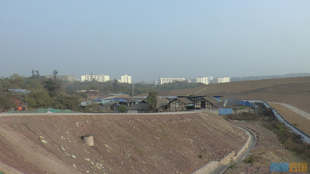 conew_s1570142.jpg