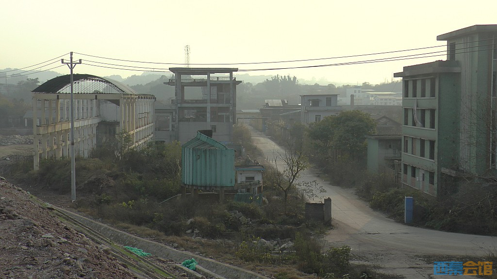 conew_s1570156.jpg