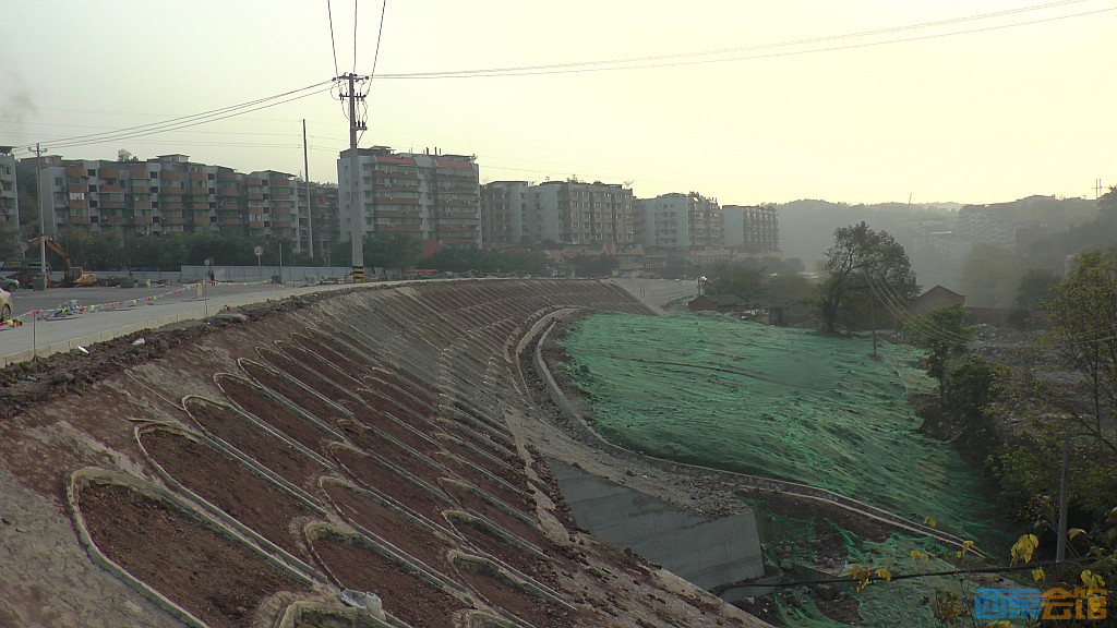 conew_s1570175.jpg