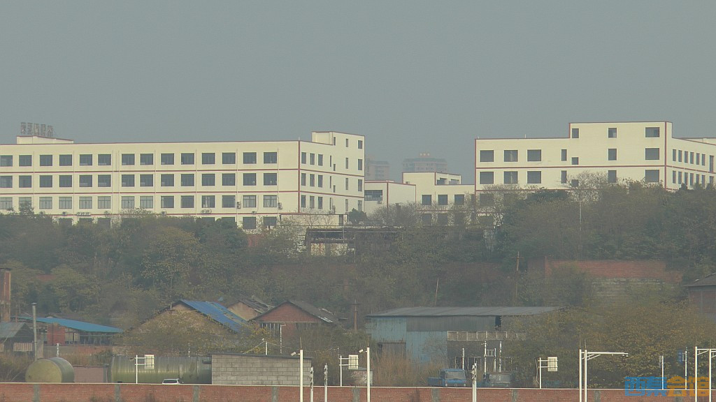 conew_s1570168.jpg