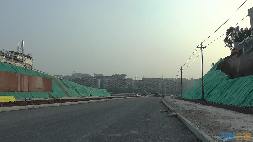 conew_s1570169.jpg