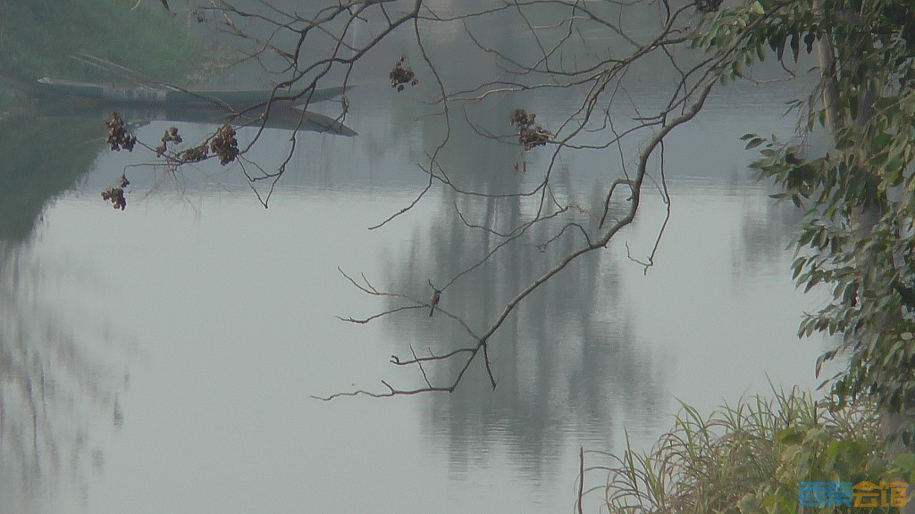 conew_s1570180.jpg