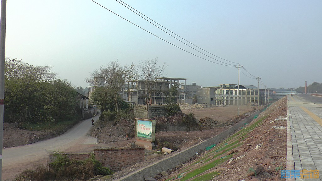 conew_s1570166.jpg