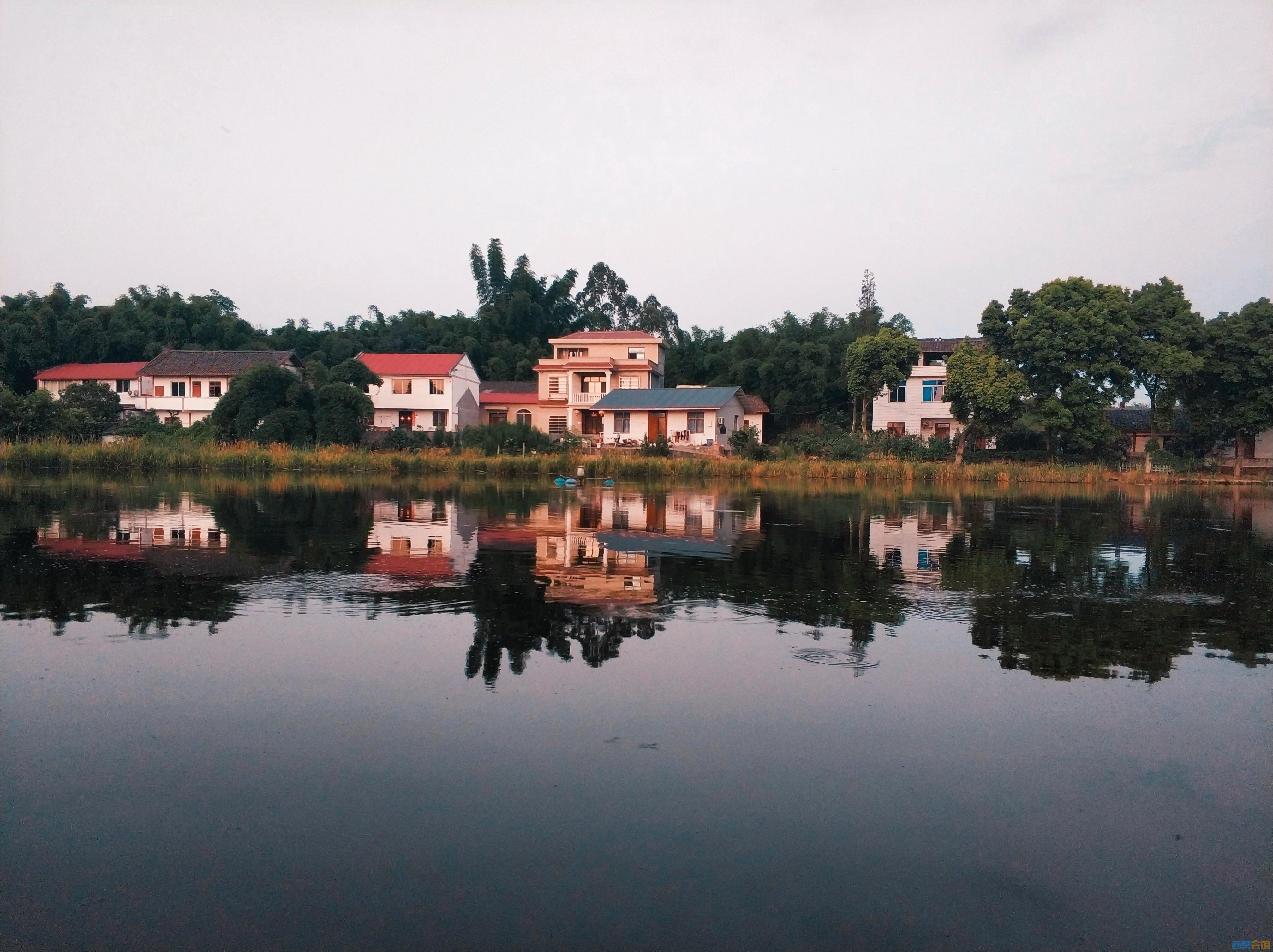 retouch_2021072909270416.jpg
