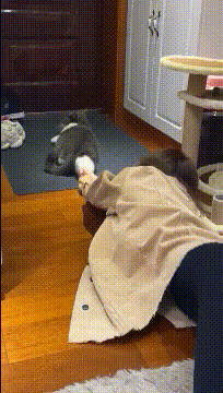 e4dd258a436c41e69af104b100f1707c.gif
