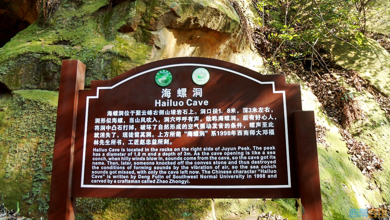 conew_dscn5029.jpg
