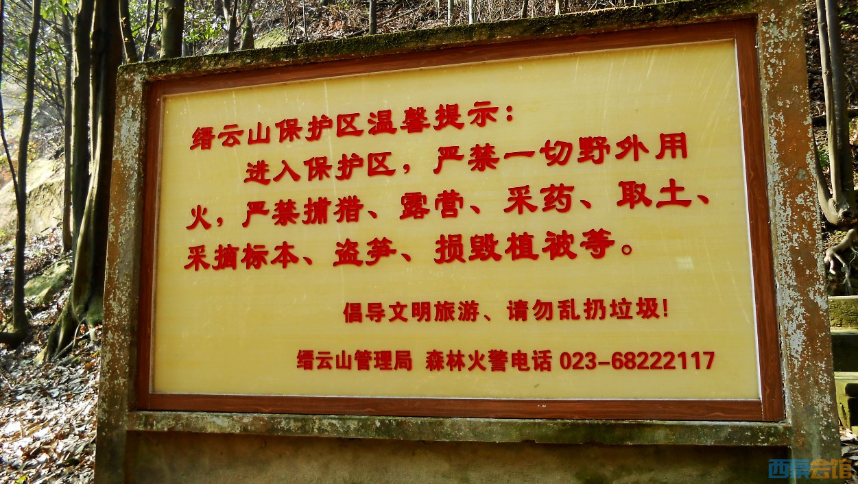 conew_dscn5038.jpg