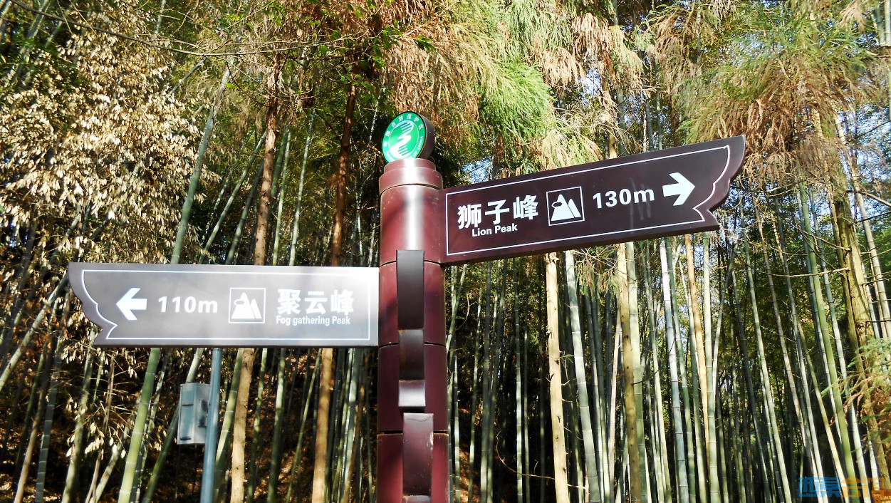 conew_dscn5039.jpg