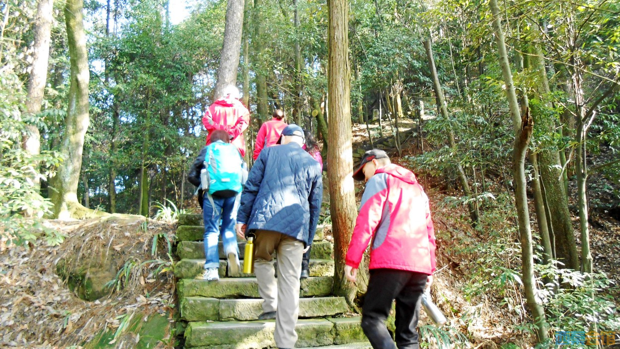 conew_dscn5047.jpg