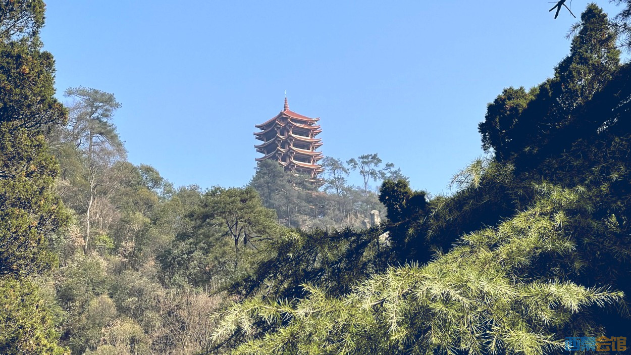 conew_dscn5057.jpg