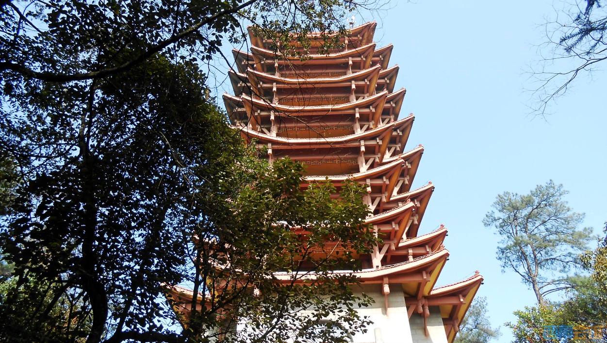 conew_dscn5075.jpg