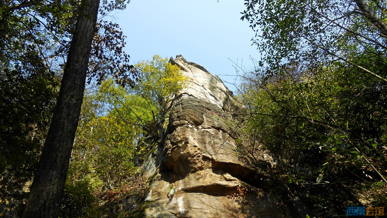 conew_dscn5081.jpg