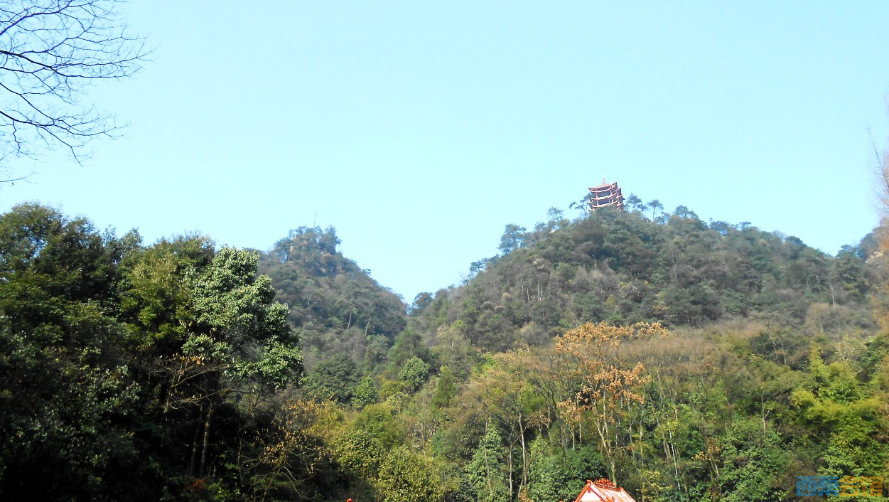 conew_dscn5093.jpg
