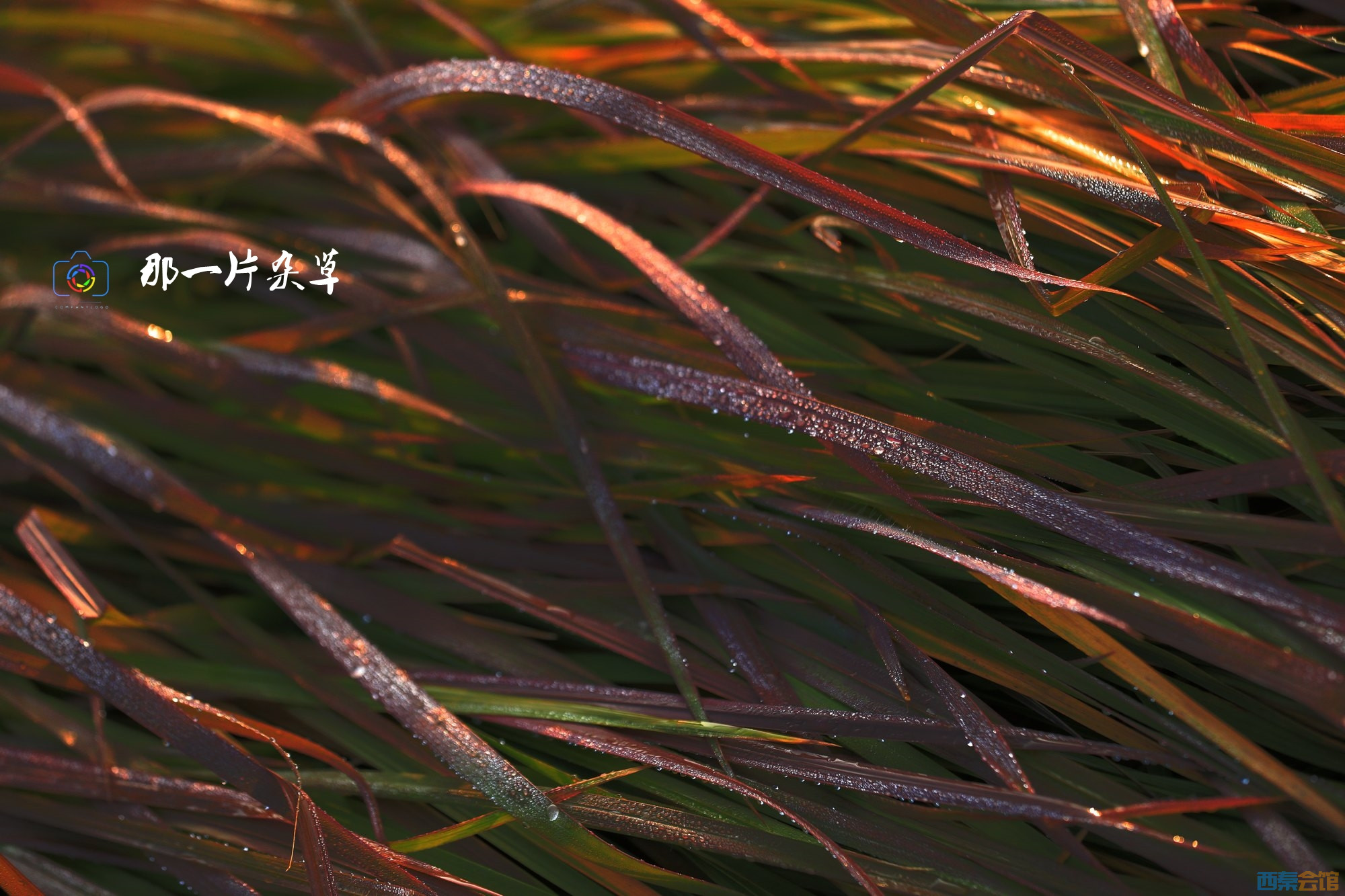 678678-4S4A9188rr-�ѱ༭.jpg