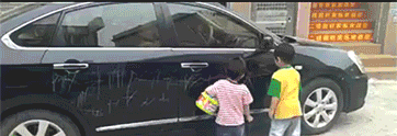 125413owpiiggdwsspdzes.gif