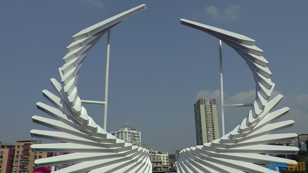 conew_s1570244.jpg