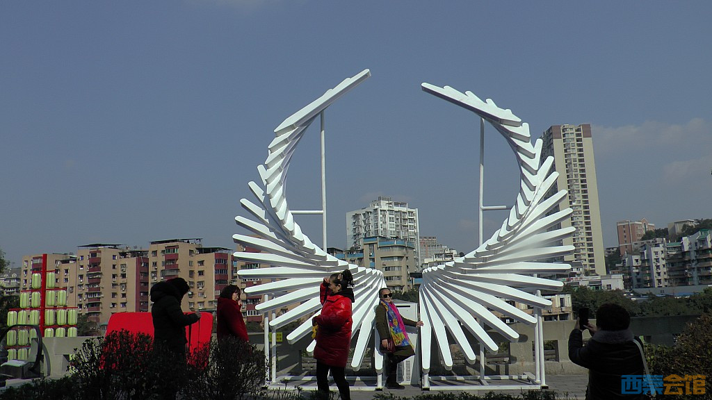 conew_s1570232.jpg