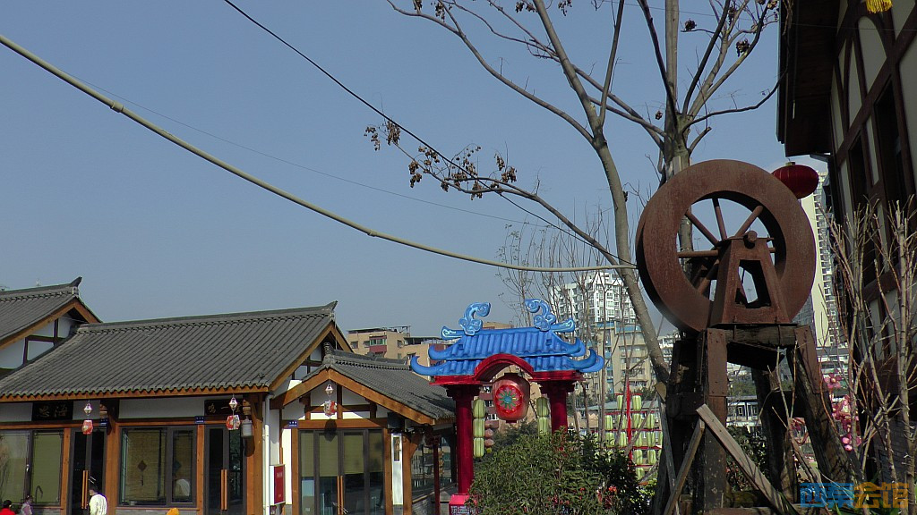 conew_s1570238.jpg