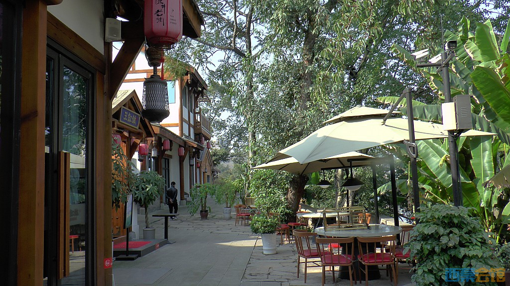 conew_s1570246.jpg
